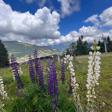 Chalet Aventure B&B Ле-Же Екстер'єр фото