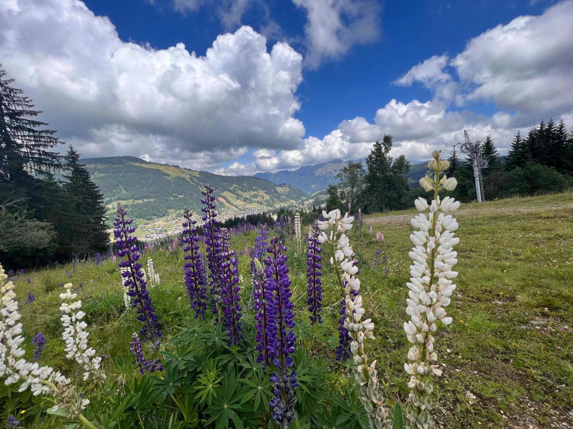 Chalet Aventure B&B Ле-Же Екстер'єр фото